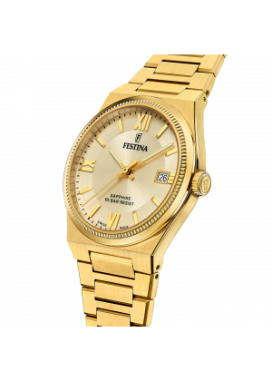 FESTINA SWISS F20038/2 férfi óra arany számlappal acél csattal (PVD)