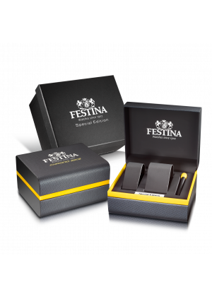 FESTINA - F20709/1 férfi óra rainbow számlappal acél csattal (PVD) SPECIAL EDITION